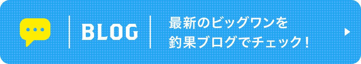 釣果ブログ更新中！ 最新のビッグワンをチェック！