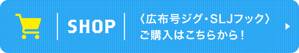 〈公布号ジグ・SLJフック〉ご購入はこちらから！